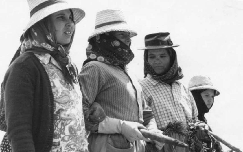 camponesas da revolução de 1974