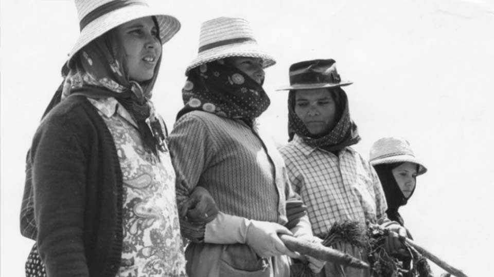 camponesas da revolução de 1974
