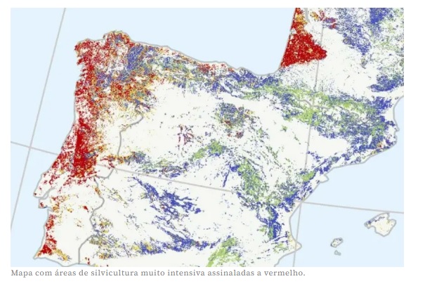 mapa da UE com áreas intensivas cultura florestal