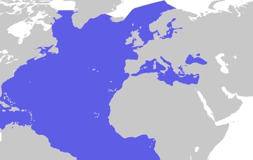 Oceano atlântico norte num mapa