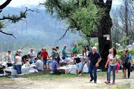 romaria santa marta falperra