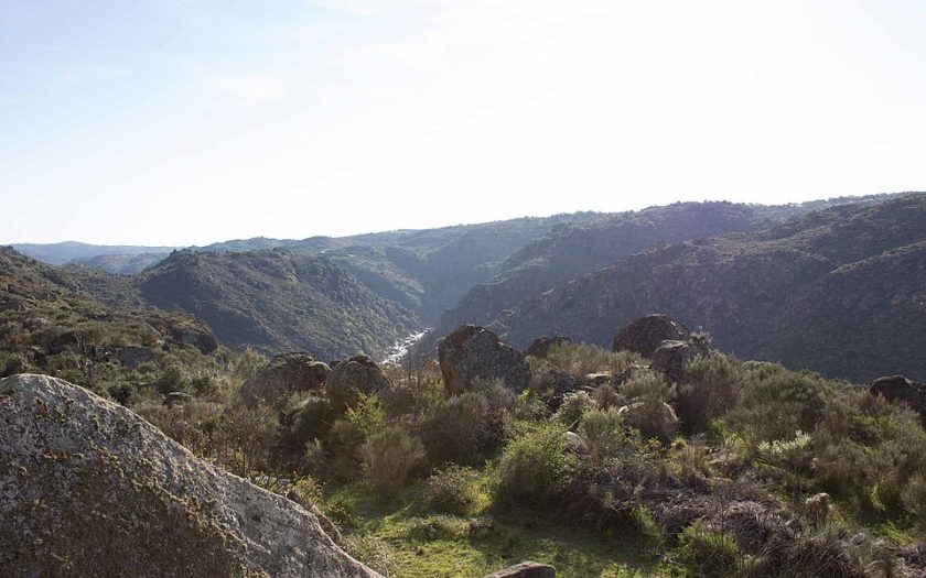 Panorâmica da Reserva Natural Faia Brava