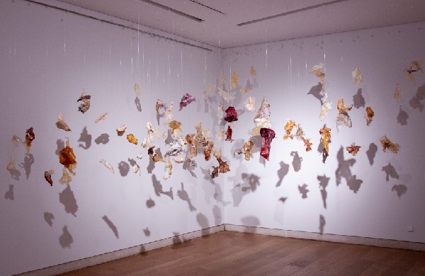 Peninsulares modos de ver