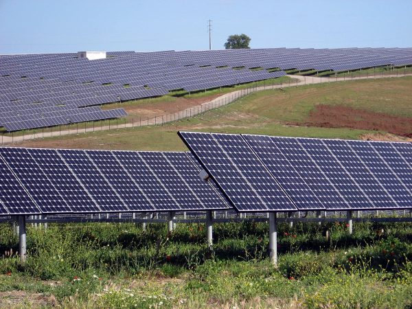 painéis de central fotovoltaica numa pradaria