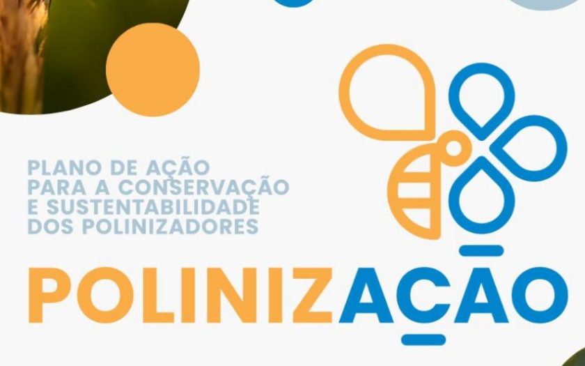 cartaz publicitário do plano de ação