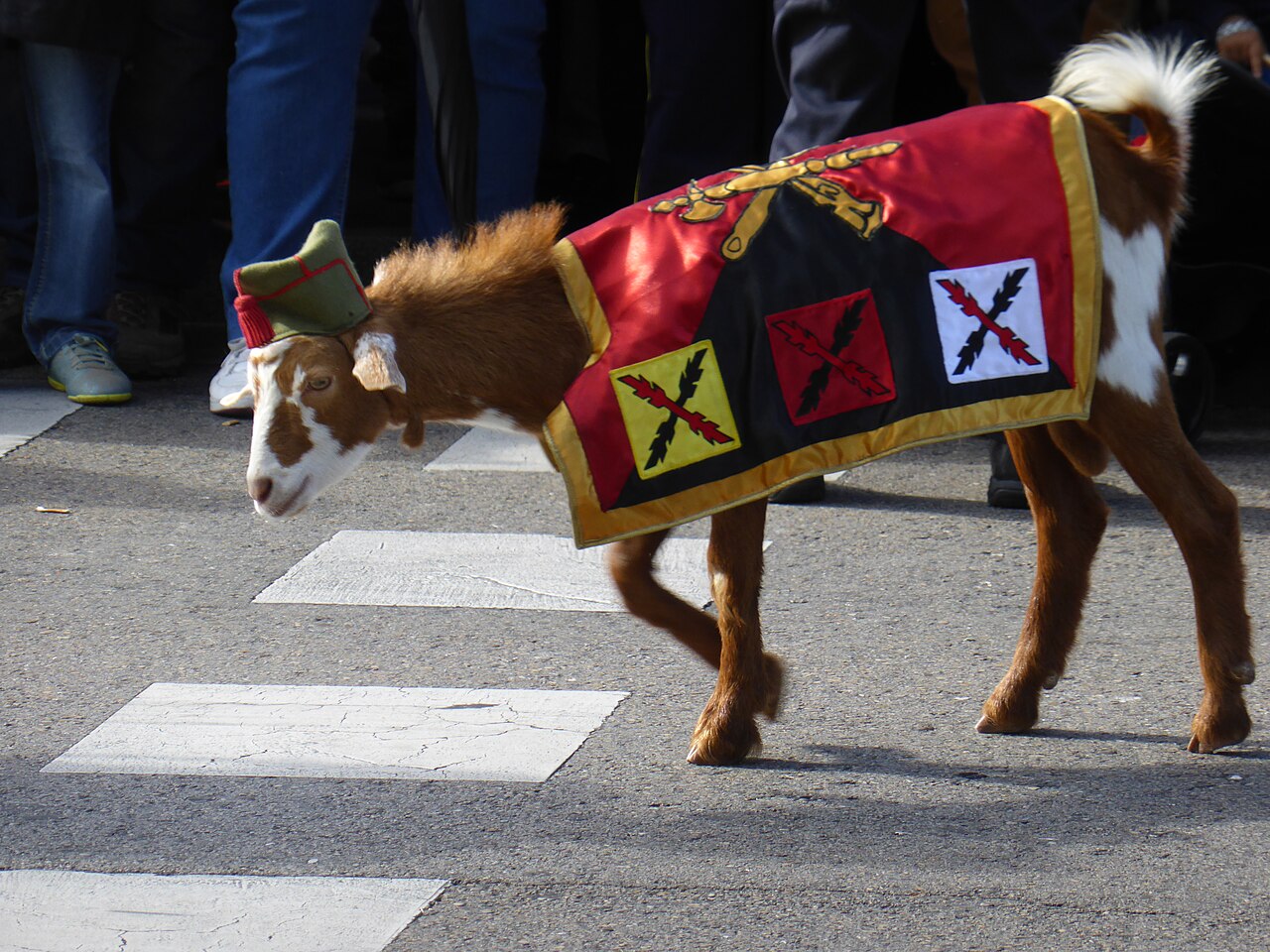 cabra da legiao espanhola que participa nestes desfiles como mascote