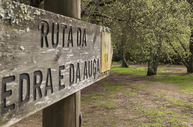 placar de madeira com o nome da rota
