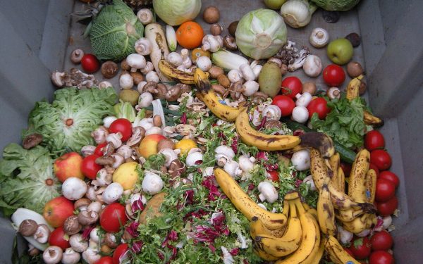 alimentos jogados num contentor