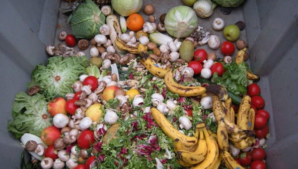 alimentos jogados num contentor