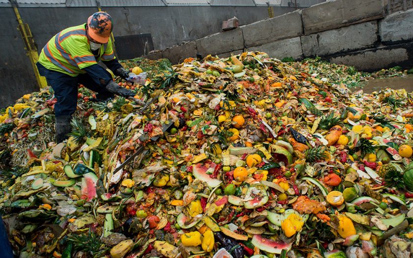 operário a mexer em comida estragada num contentor