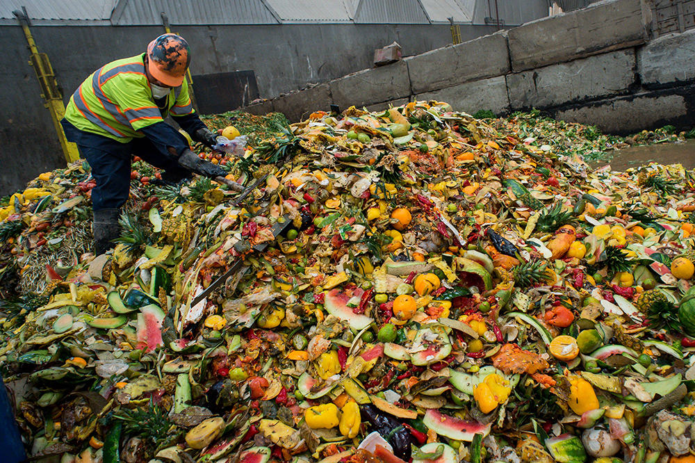 operário a mexer em comida estragada num contentor