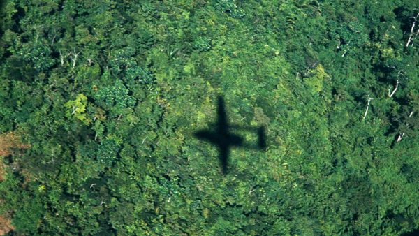 foto da sombra dum avião por cima duma floresta