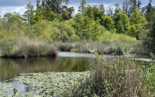 Lagoa no concelho de Pombal
