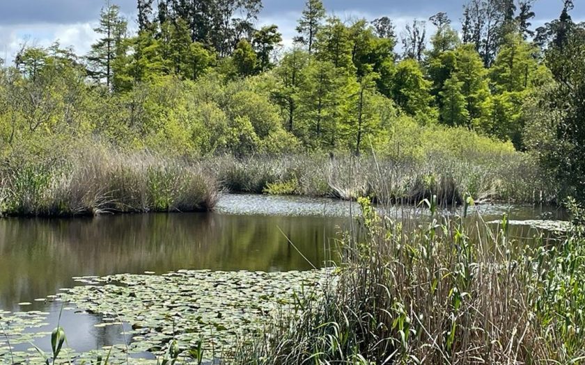 Lagoa no concelho de Pombal