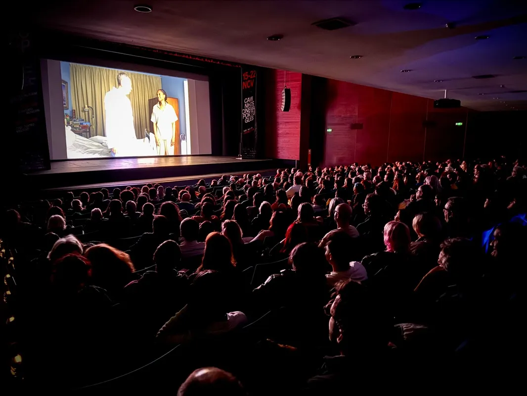público a assistir no festival Caminhos de cinema