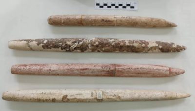 Ferramentas para caçar baleias