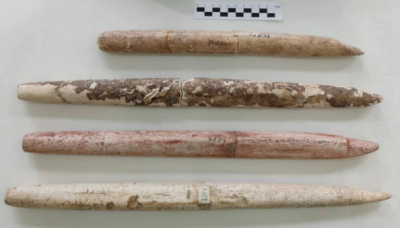 Ferramentas para caçar baleias