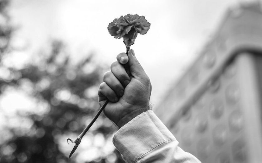 cravo vermelho segurado por um punho contra o céu. A preto e branco