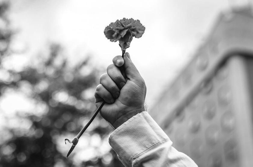 cravo vermelho segurado por um punho contra o céu. A preto e branco