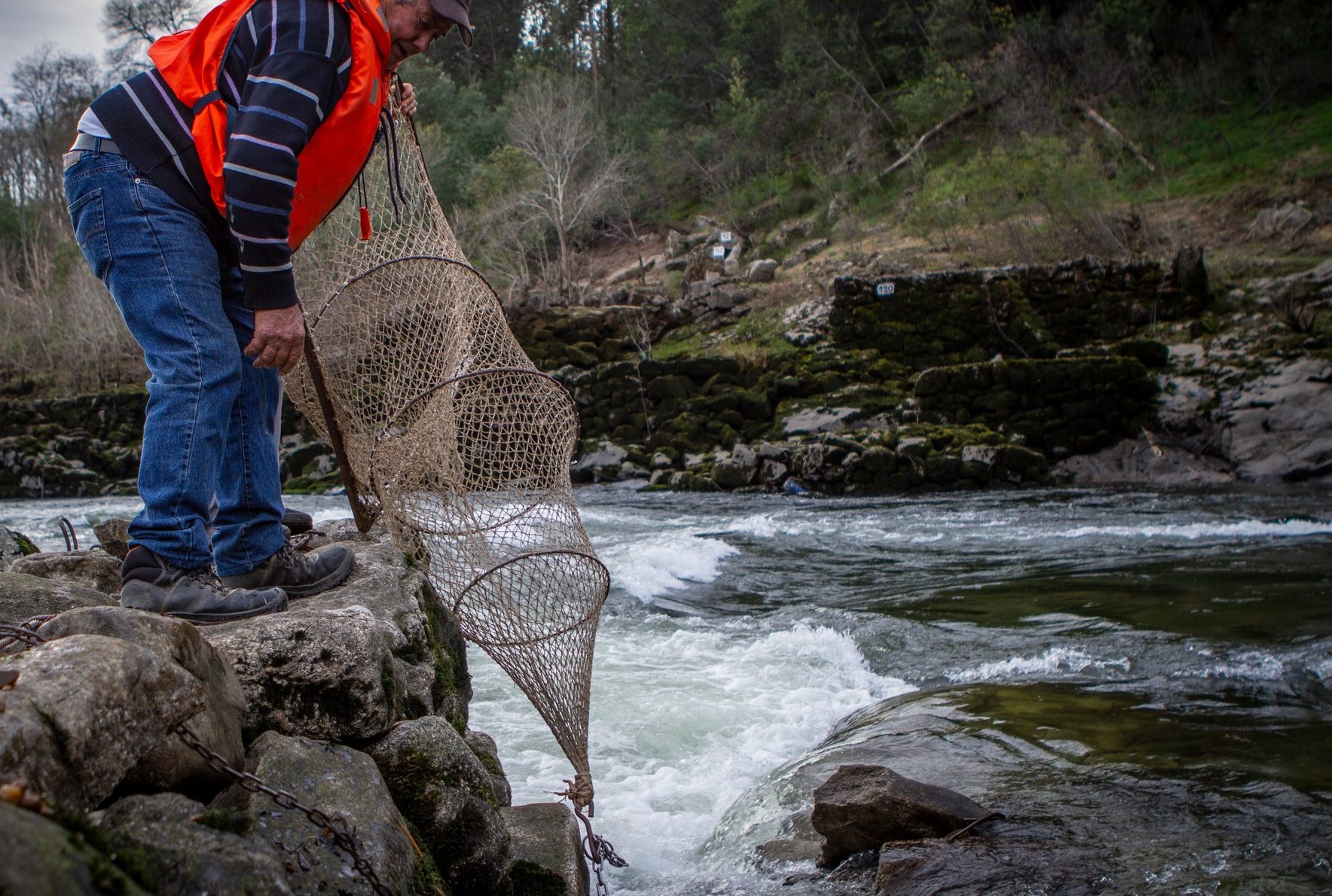 pescador a segurar armadilha para a lampreia por cima da água antes de a colocar