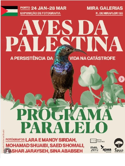 Aves da Palestina