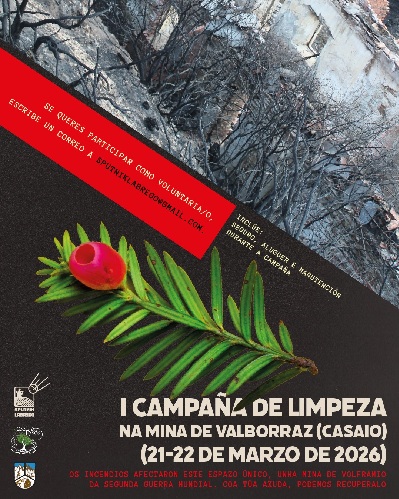 Limpeza Mina Valborraz