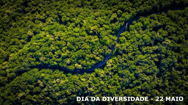 Dia da Diversidade 22 de Maio