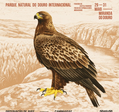 Festival ObservArribas