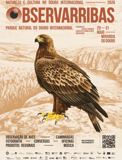 Festival ObservArribas