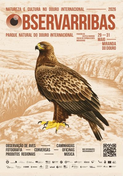 Festival ObservArribas
