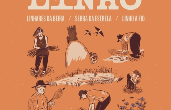 I festa do linho linhares da beira