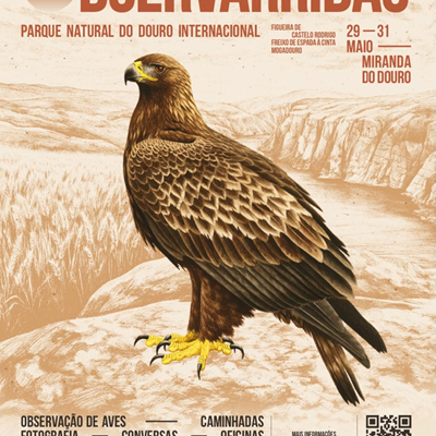 Festival ObservArribas